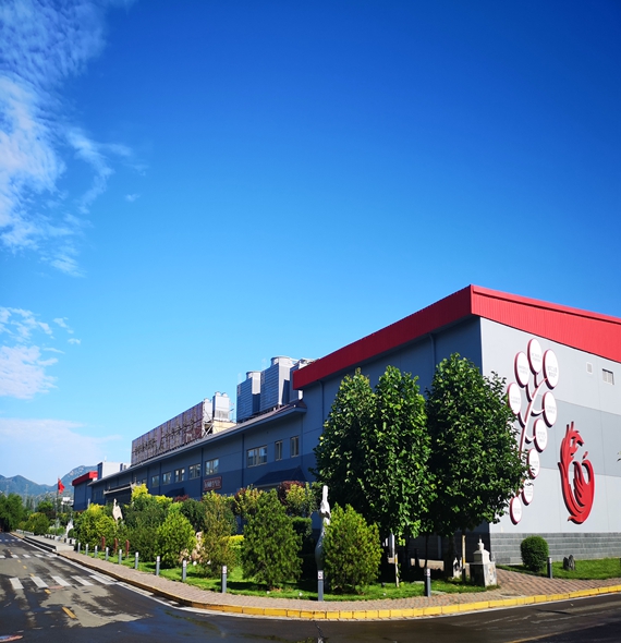 金凤禽肉制品加工基地